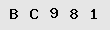 Sicherheitscode