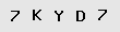 Sicherheitscode