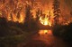 Bild: Terrifying wildfire season in Alaska and what it says about climate change